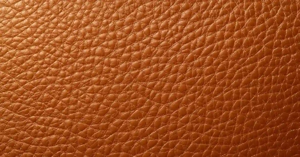 エルメス 革 種類 選び方 バーキン ケリー イメージ